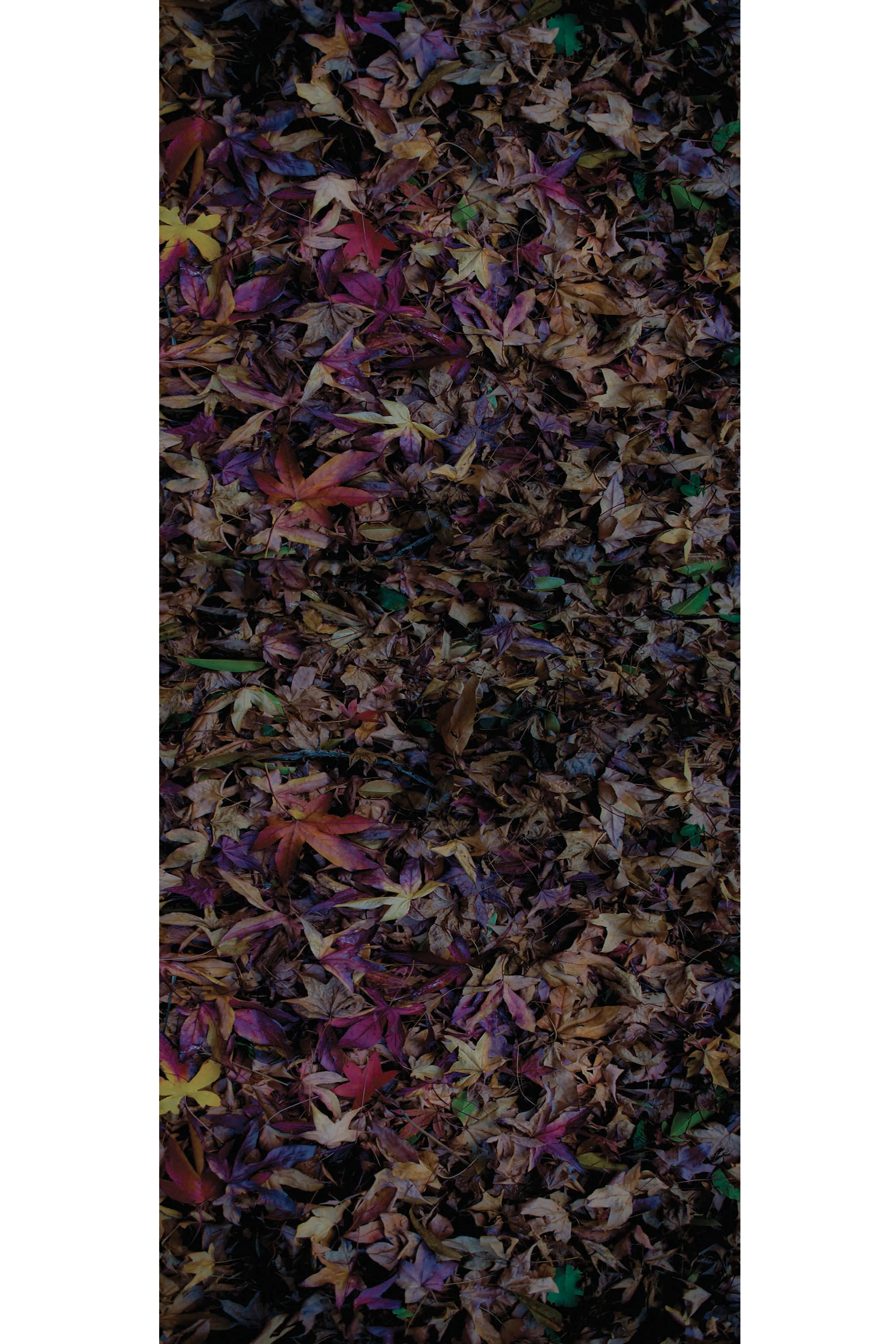 AUTUMN LEAVES WOOL & SILK SCARF